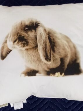 Rabbit Pillow 16" x 16" Accent Throw Bunny American Eagle Outfitters